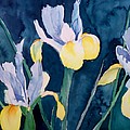 Blue Iris