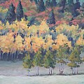 Park City Meadow